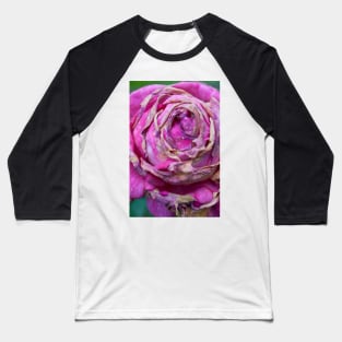 Rose Baseball T-Shirt